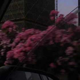 بت حبب