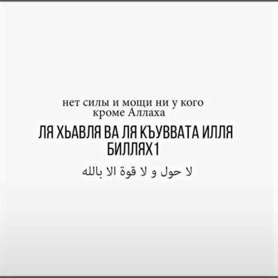 Islam-Islamov Profile Picture