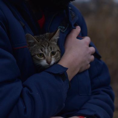 Russik Anayov