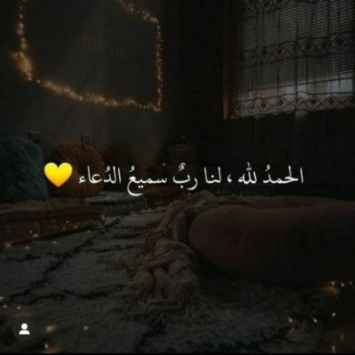 hafsina41