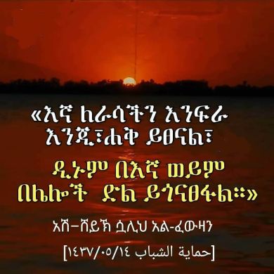 fedlu ahmadin