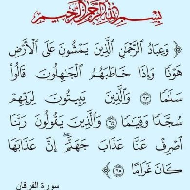 anwar7