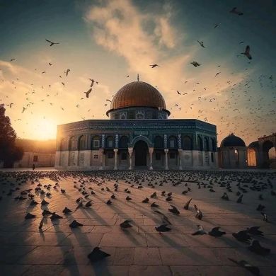Suhayeb