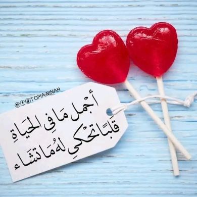 Follow Sunnah