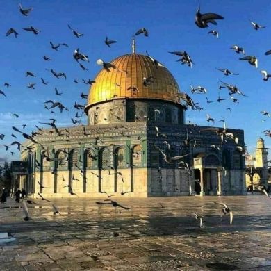Abusinaan Mohammed K
