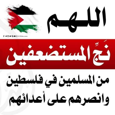 lbun reshad Profile Picture