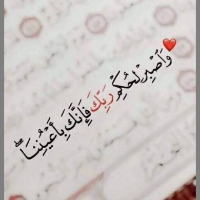 العلمي الزيتوني