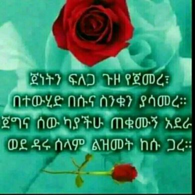 Zeyne Seid Profile Picture