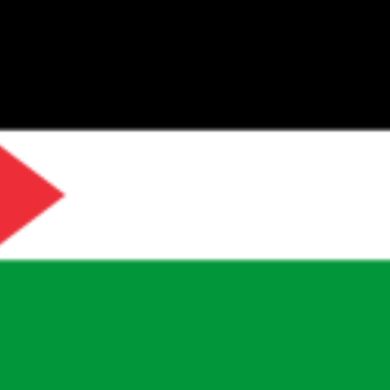 Mujahid Mudesir Profile Picture