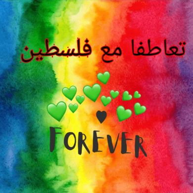 Mohamed Lotfy
