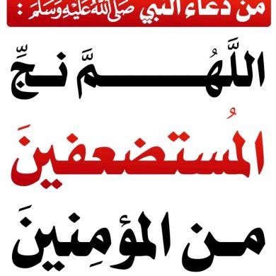 abdulferid abrar Profile Picture