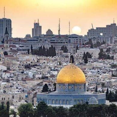 فلسطين ية