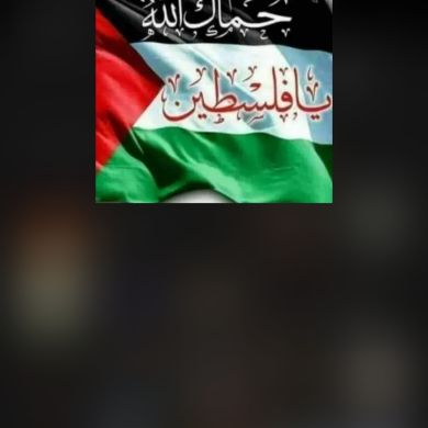 abdu mohammed Profile Picture