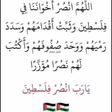 Abu wildan