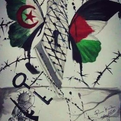 taraf muqeem Eddin
