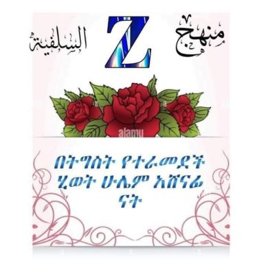 zebiba nesru umu hib