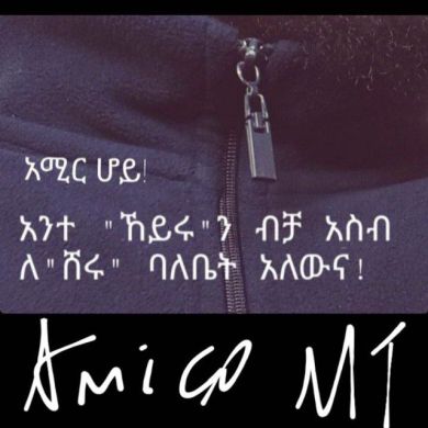 Amir Mohammed