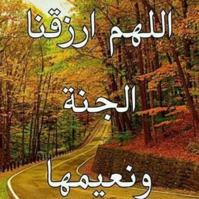 abu fewazan Profile Picture