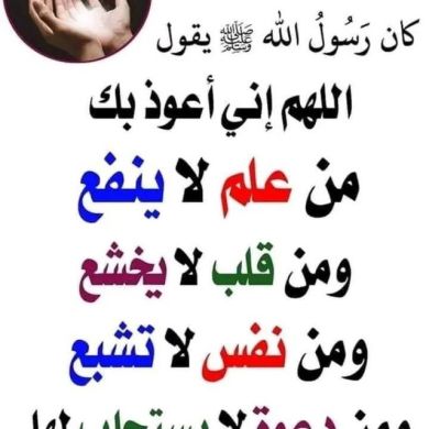 umma1698168234