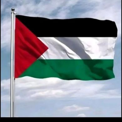 umet mehamed Profile Picture