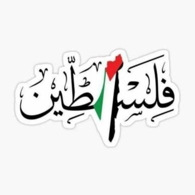SalahabuUmair Profile Picture