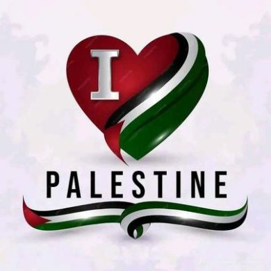 muhammedsani abdella Profile Picture