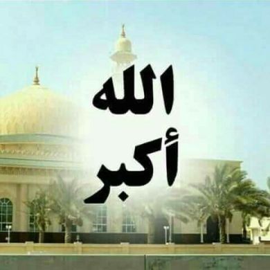 Moha Med