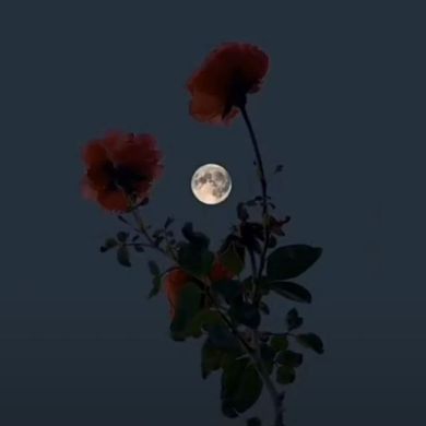ام مهدى