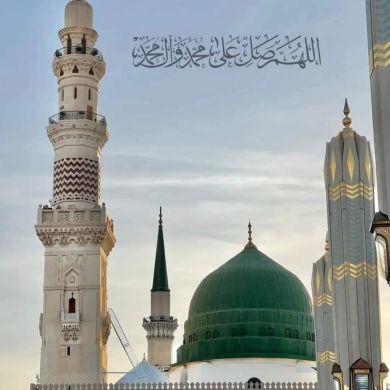 abdulloh zayd Profile Picture