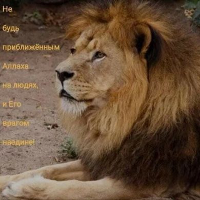 Шариат Н Profile Picture
