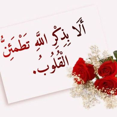 aum Amina Life