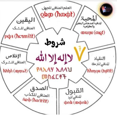 hayat ahmed Profile Picture