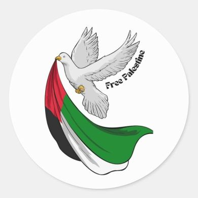 Muhammadiya Habibim Profile Picture