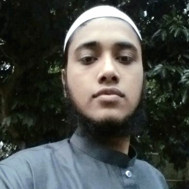 Mahdi Tanzim Siam