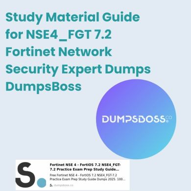 Fortinet Network Dumps