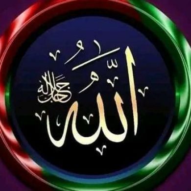 umma1746221454