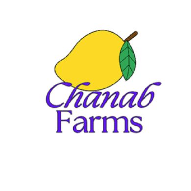 Buy Export Quality C