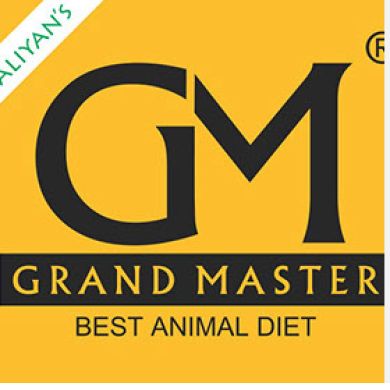grandmaster global