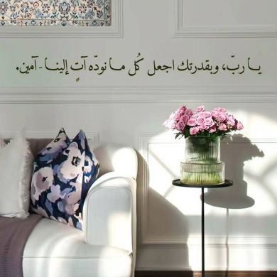 seada hashim