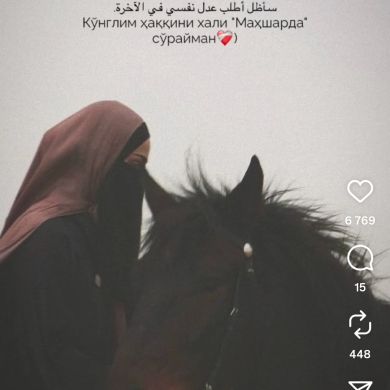 Ummu Muhammad