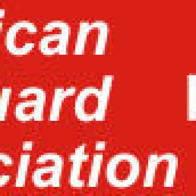 american lifeguard
