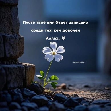 Амина Алиева Profile Picture