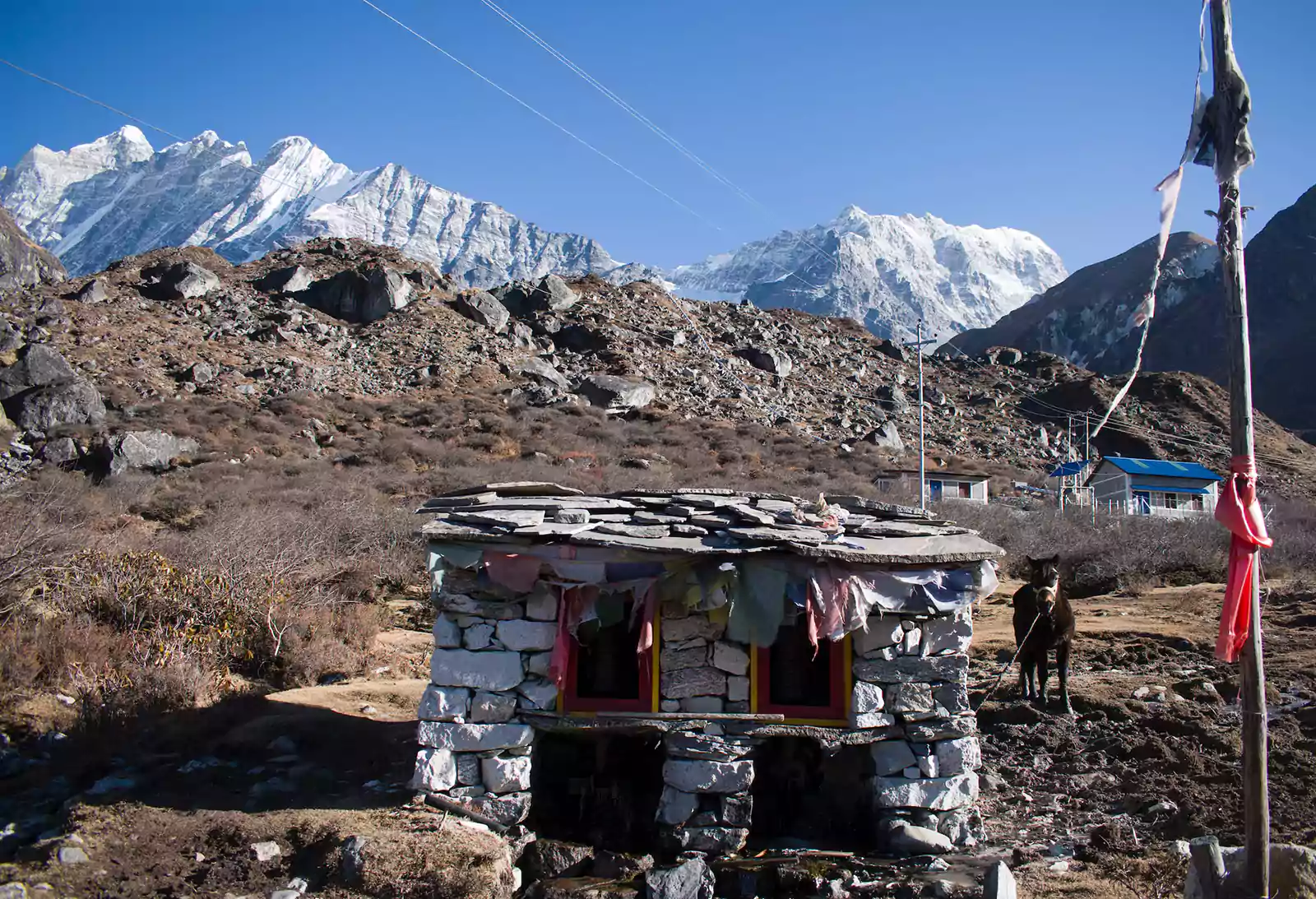 Langtang Valley Trek - Amble Himalaya