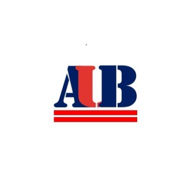 American University of Busines