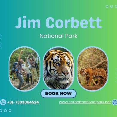 Corbett Park Profile Picture