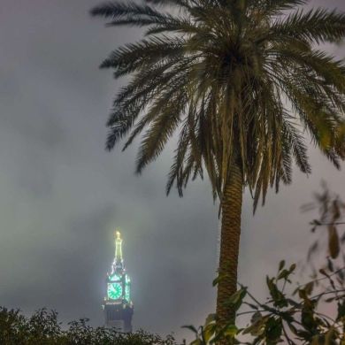 أبو عبد الرحمن الحنبلي